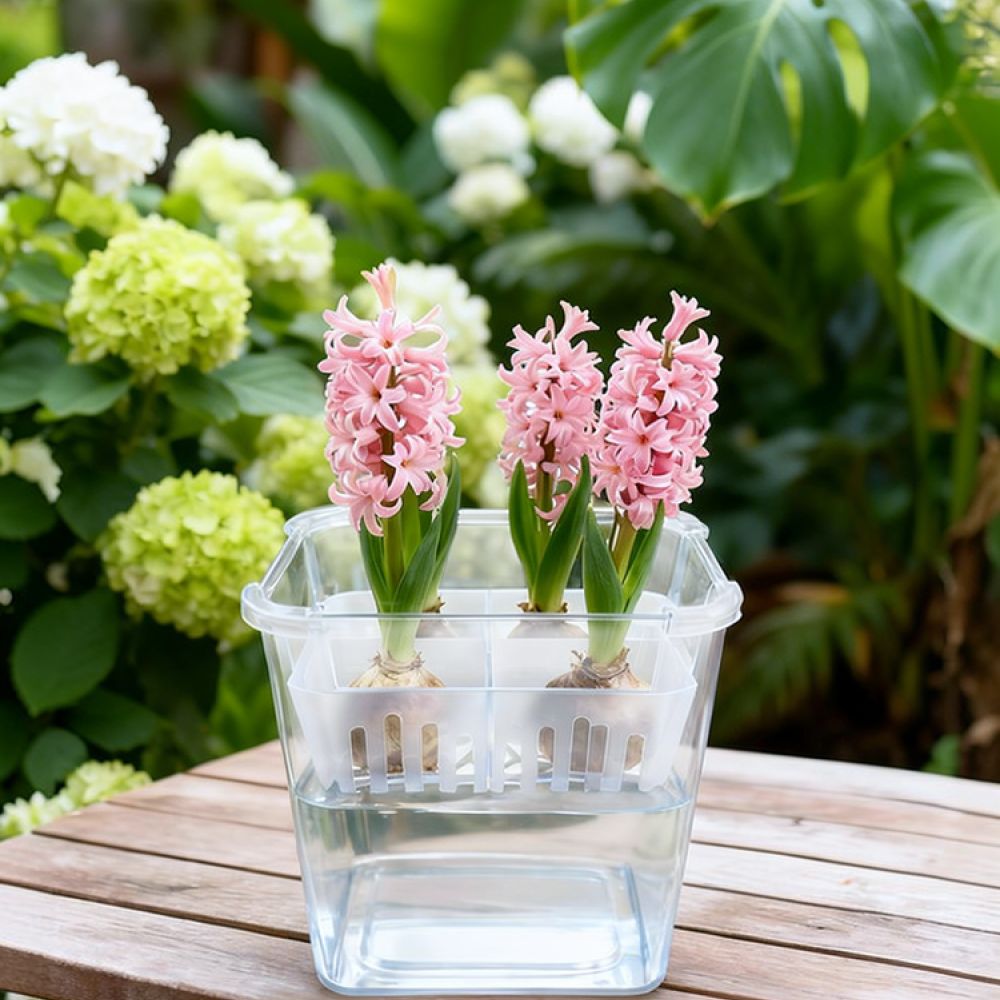 กระถางไฮโดรโปนิกส์สำหรับปลูกทิ - Vase Decor บทวิจารณ์และราคา