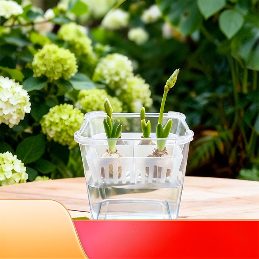 กระถางไฮโดรโปนิกส์สำหรับปลูกทิ - Vase Decor บทวิจารณ์และราคา